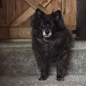 Meet your Posher, Barb